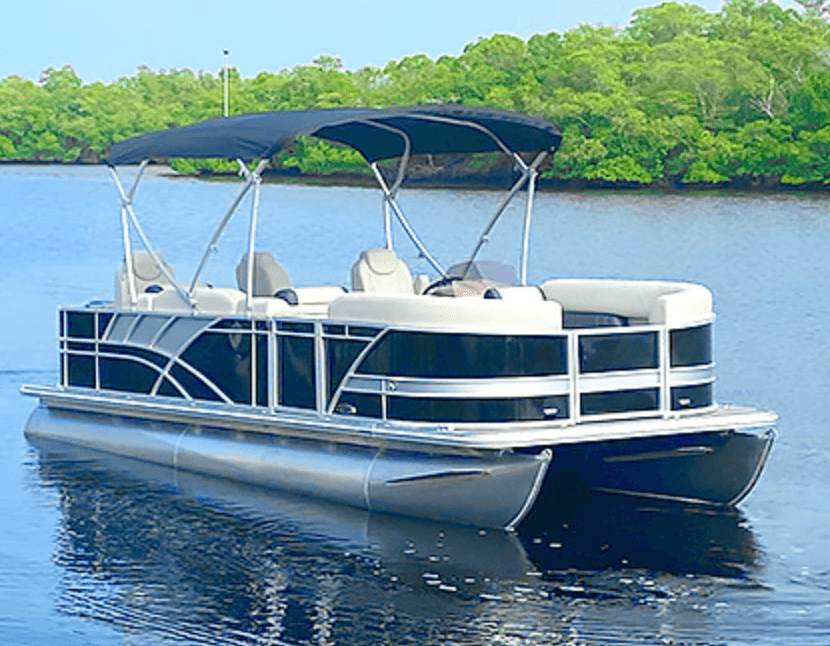 Photo of a pontoon on a small river