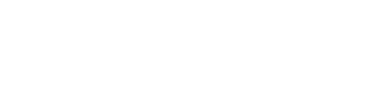 ElectricitePlus Logo